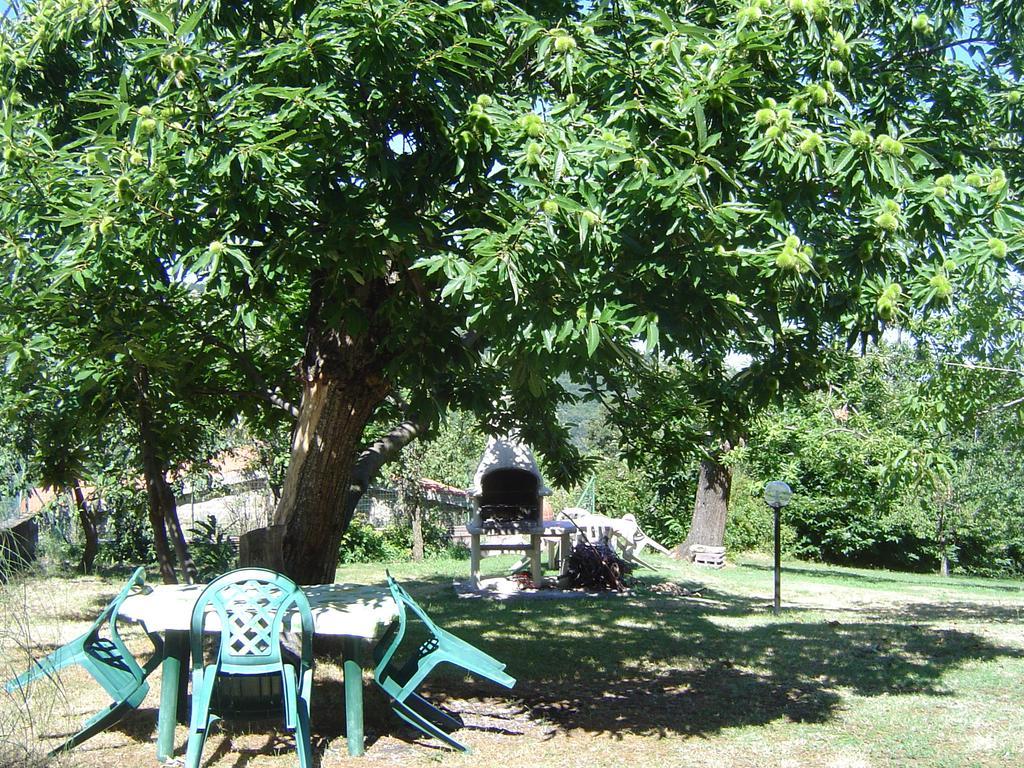 Agriturismo Sorripe Montelaterone Ngoại thất bức ảnh