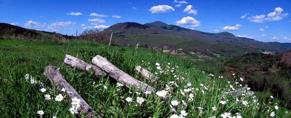 Agriturismo Sorripe Montelaterone Ngoại thất bức ảnh