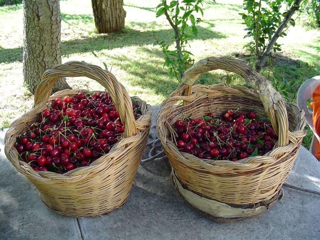 Agriturismo Sorripe Montelaterone Ngoại thất bức ảnh